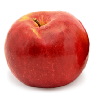 apple-jonagold-337x335