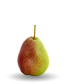 forelle-pear