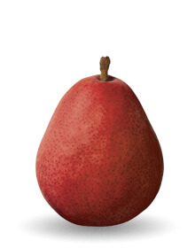 red-anjou-pear