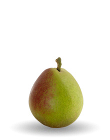 seckel-pear