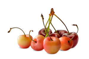 menu-cherries