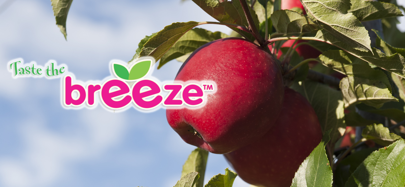 breeze-apple-supplier