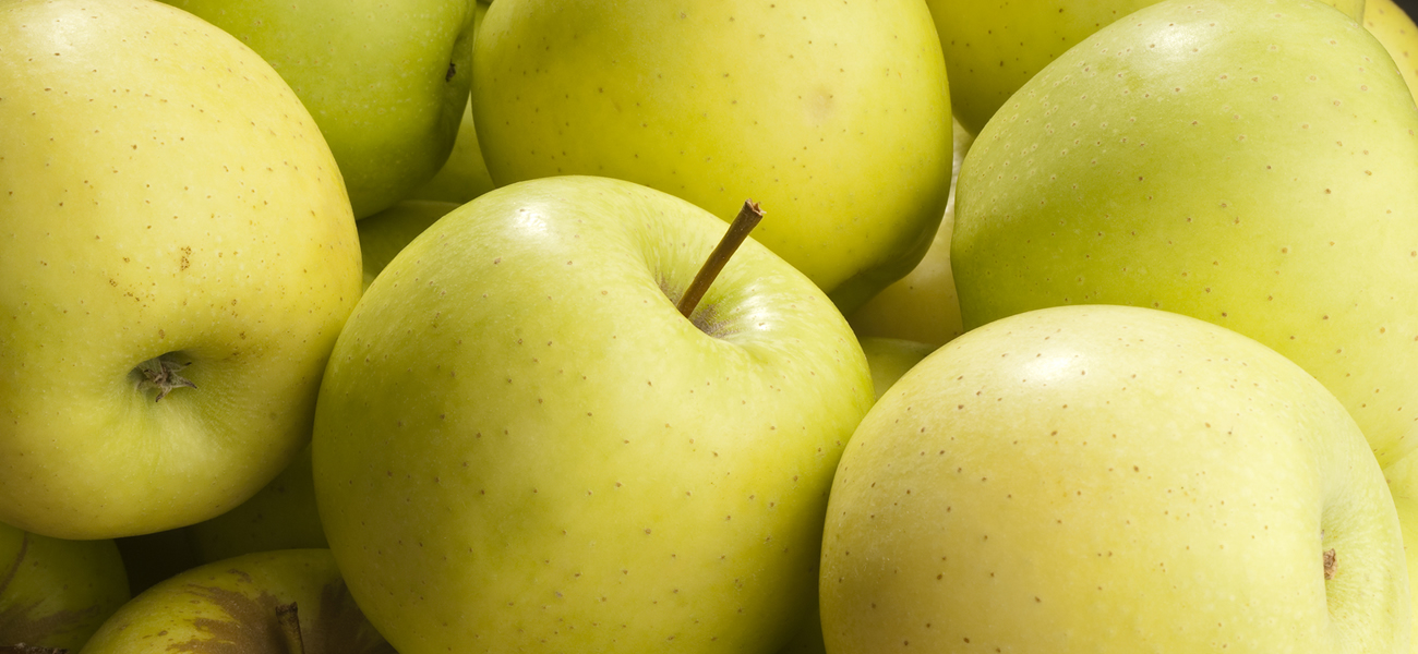 Golden Delicious Apples Information and Facts