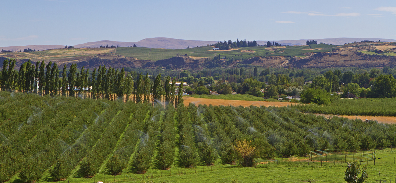 yakima valley