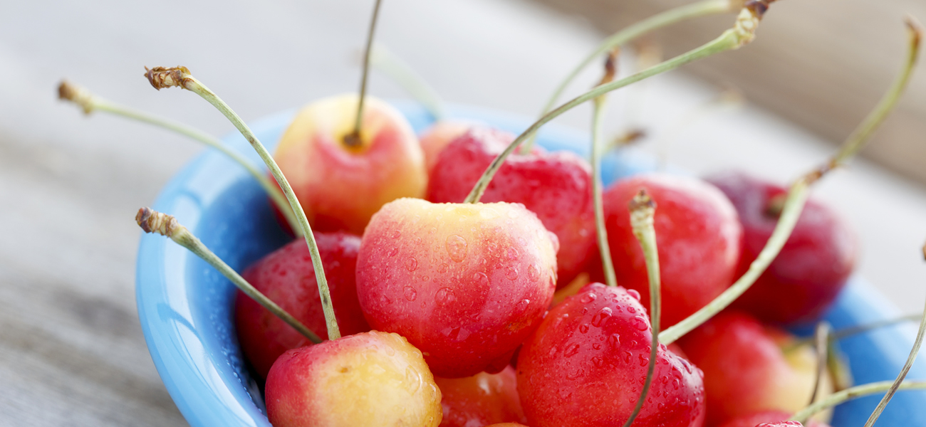 rainier-cherry-supplier