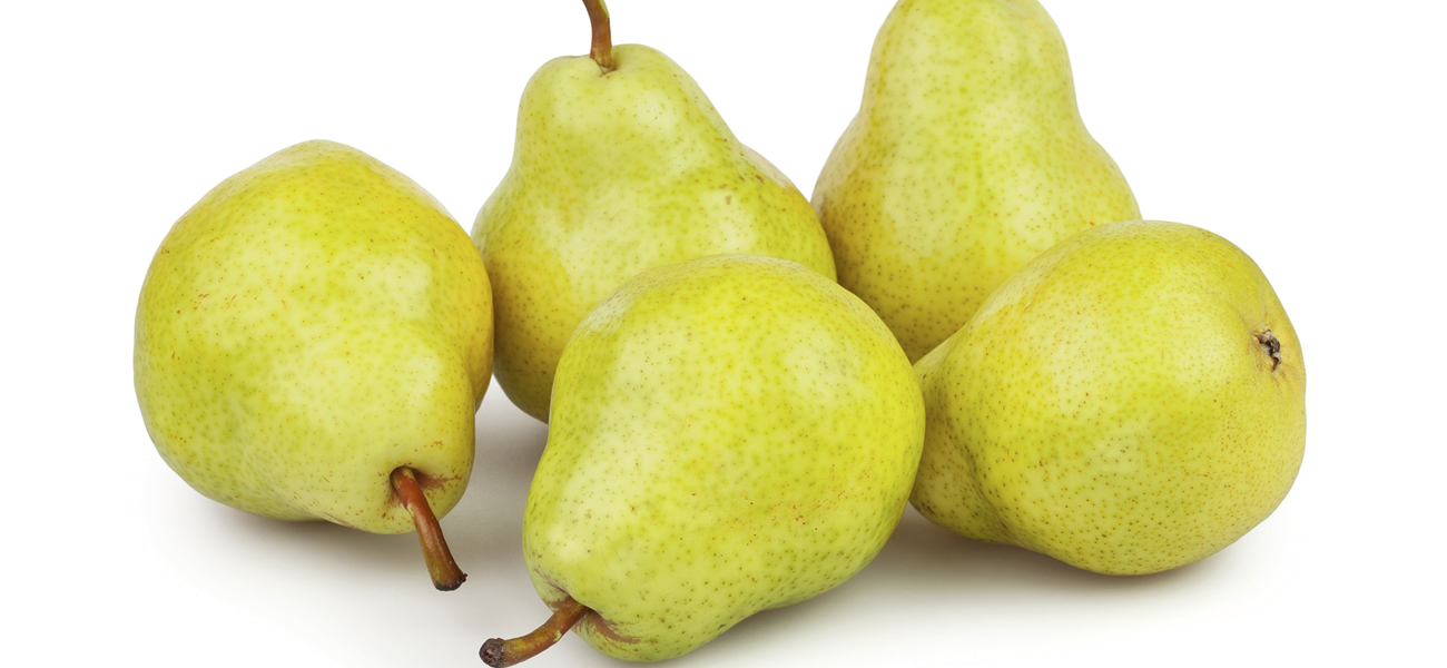 bartlett-pear-supplier