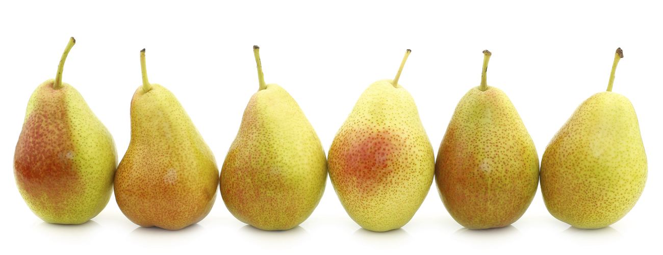 pear-supplier