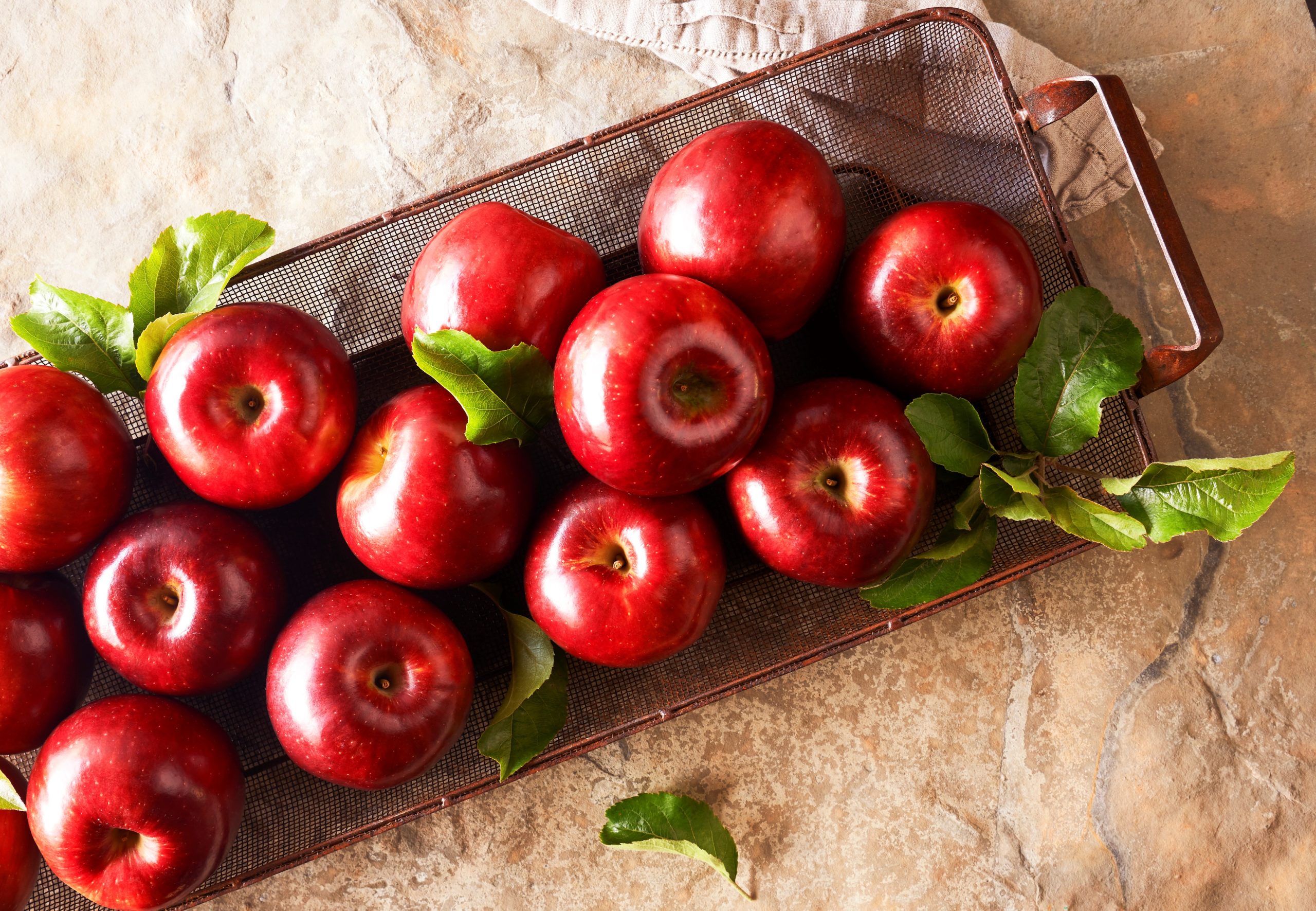 PVM-2286_2584-Apples-Basket